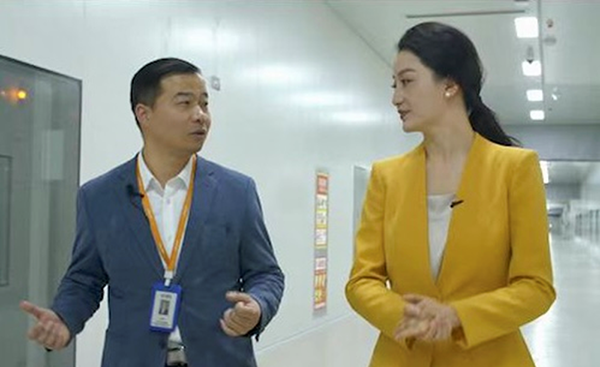 蜂巢能源,鋰電池,動力電池