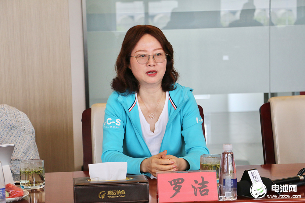 中國電池新能源產業鏈調研團一行參觀考察騰遠鈷業