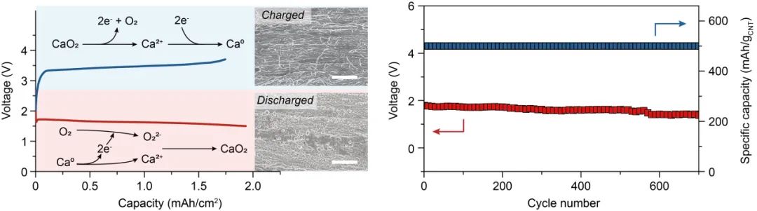 圖2. 鈣-氧氣電池放電產物的可逆生成和分解(左)與充放電循環穩定性(右) 圖2. 鈣-氧氣電池放電產物的可逆生成和分解(左)與充放電循環穩定性(右)