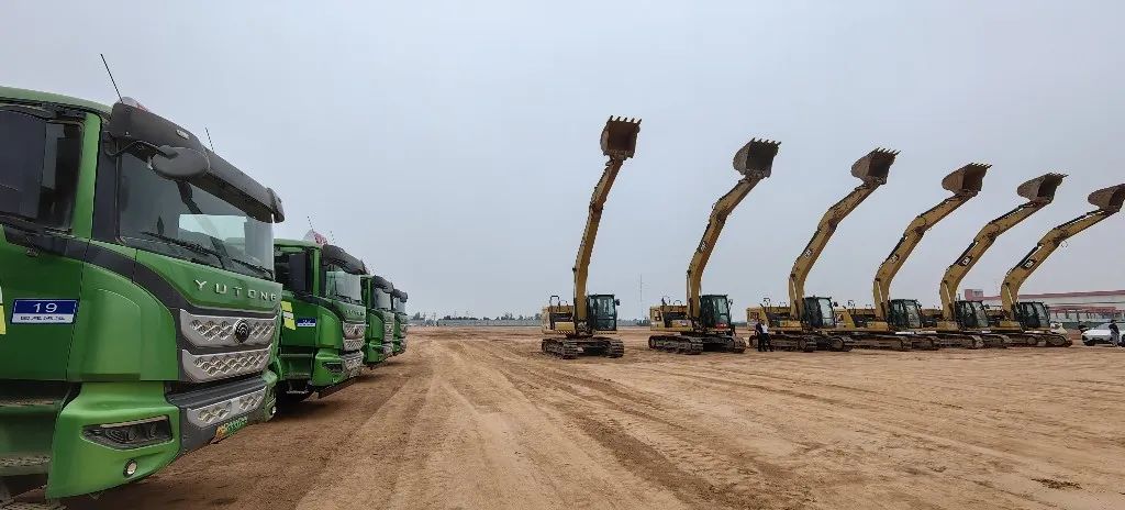 圖/洛陽融媒 圖/洛陽融媒