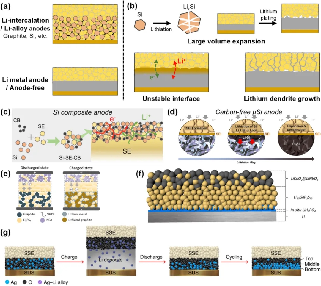圖5 硫化物基ASSB高比容負極存在的問題及最新進展。 圖5 硫化物基ASSB高比容負極存在的問題及最新進展。