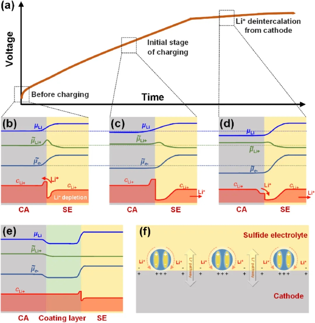 圖6 正極(CA)|SE界面空間電荷層的演化及解決方案。 圖6 正極(CA)|SE界面空間電荷層的演化及解決方案。