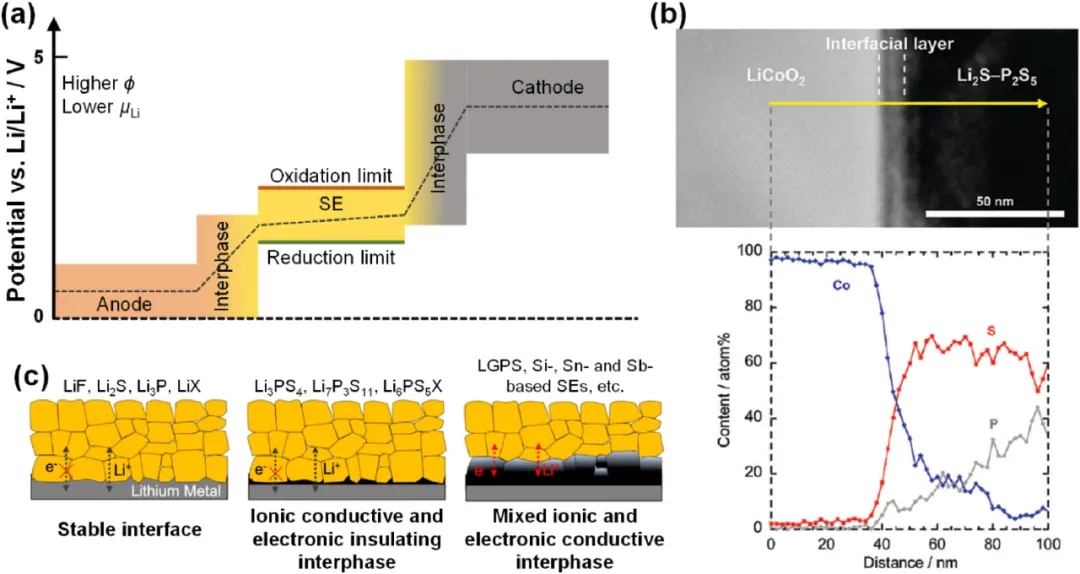 圖7 電極和硫化物SE之間界面反應。 圖7 電極和硫化物SE之間界面反應。
