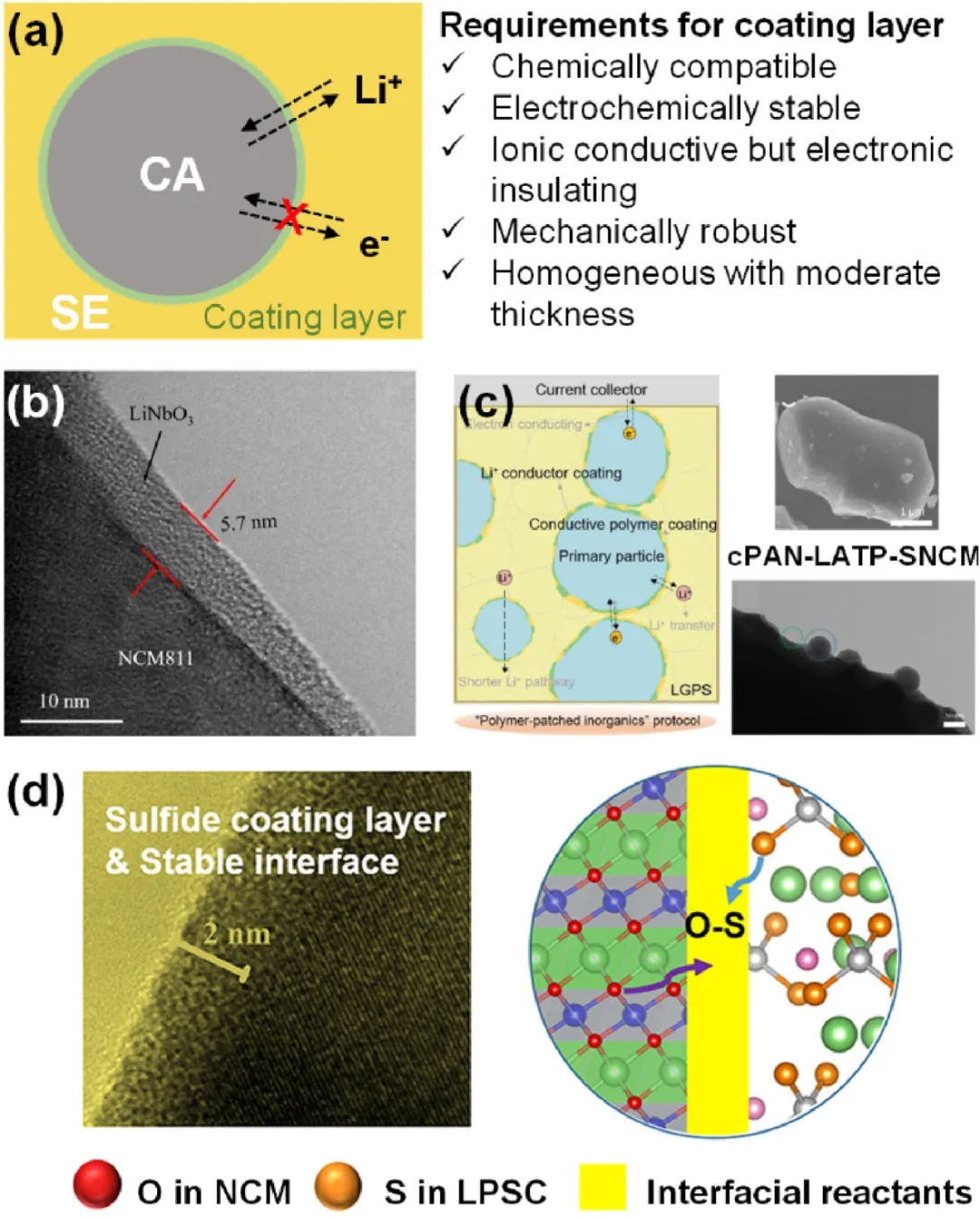 圖8 抑制界面副反應的界面工程。 圖8 抑制界面副反應的界面工程。