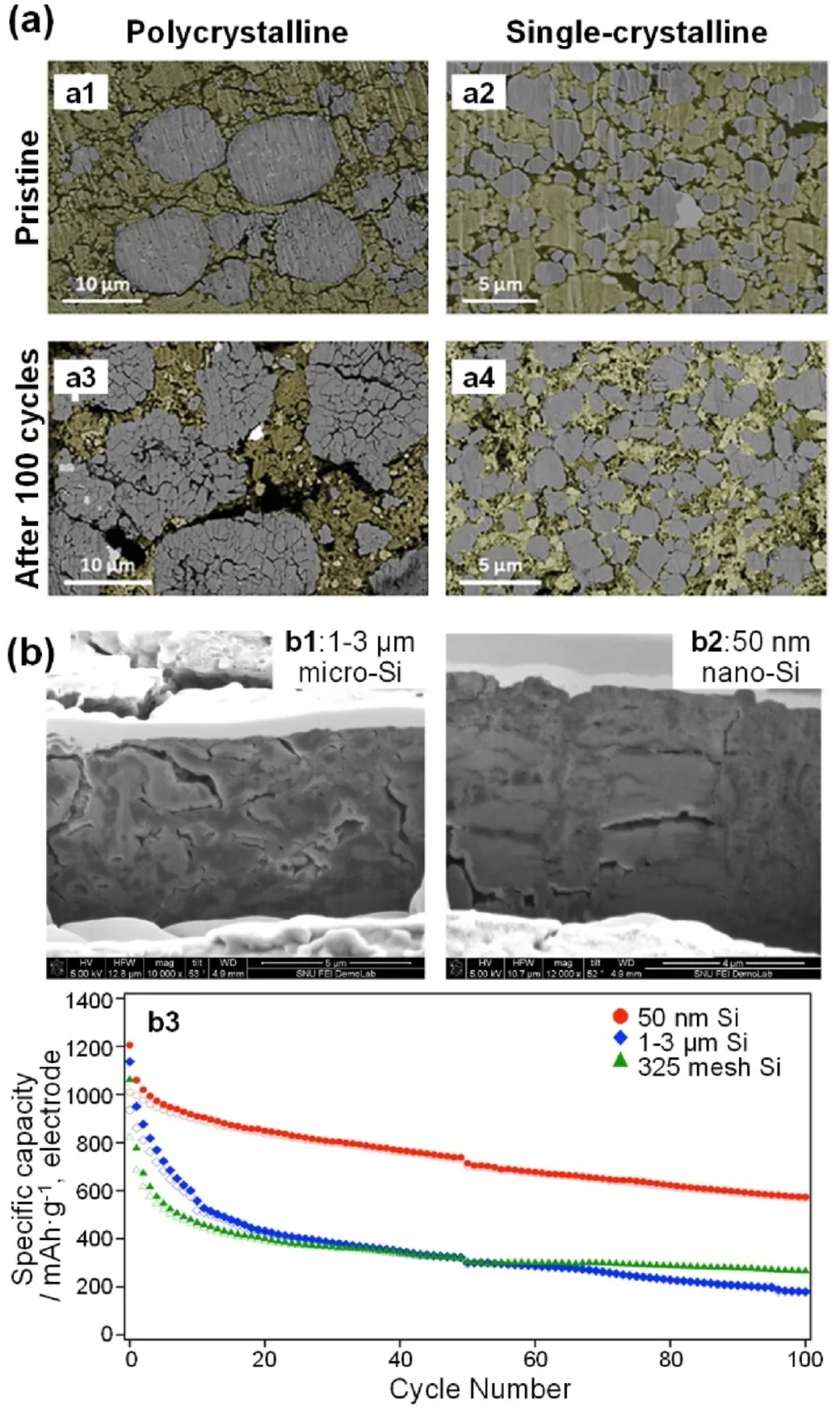 圖12 硫化物基ASSB的機械失效。 圖12 硫化物基ASSB的機械失效。
