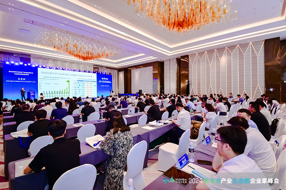 2024中國（無錫）鈉電池產業生態圈企業家峰會現場