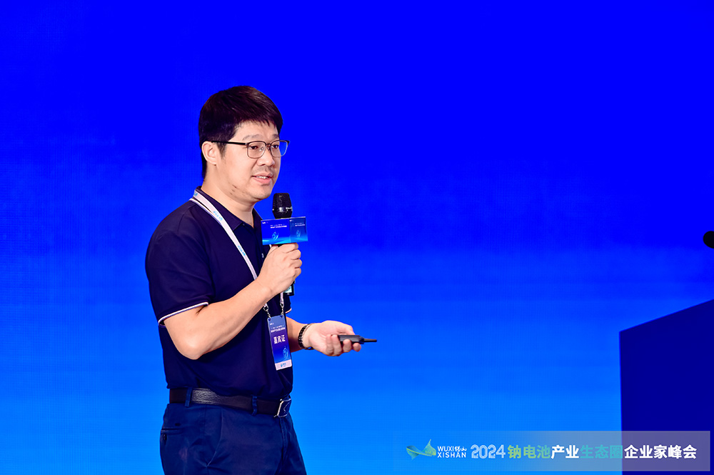 中南大學王海燕：從硬碳設計到無負極技術 構建高比能鈉電池