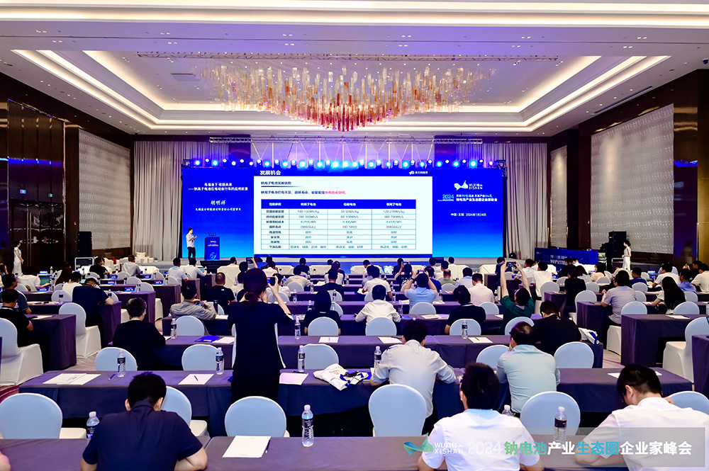 2024中國(guó)(無錫)鈉電池產(chǎn)業(yè)生態(tài)圈企業(yè)家峰會(huì)現(xiàn)場(chǎng) 2024中國(guó)(無錫)鈉電池產(chǎn)業(yè)生態(tài)圈企業(yè)家峰會(huì)現(xiàn)場(chǎng)