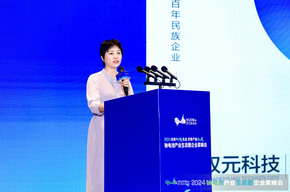 雙元科技邊慧娟：新技術(shù)新產(chǎn)品助力鈉電精益制造