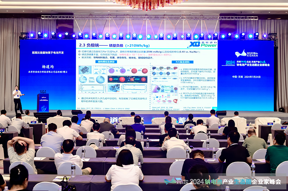 2024中國(無錫)鈉電池產業生態圈企業家峰會現場 2024中國(無錫)鈉電池產業生態圈企業家峰會現場