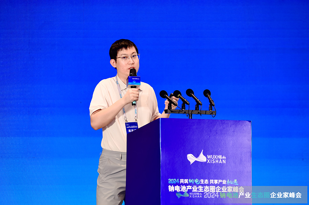 中科院謝飛:無定形碳負極可逆容量及首周可逆性提升策略分析