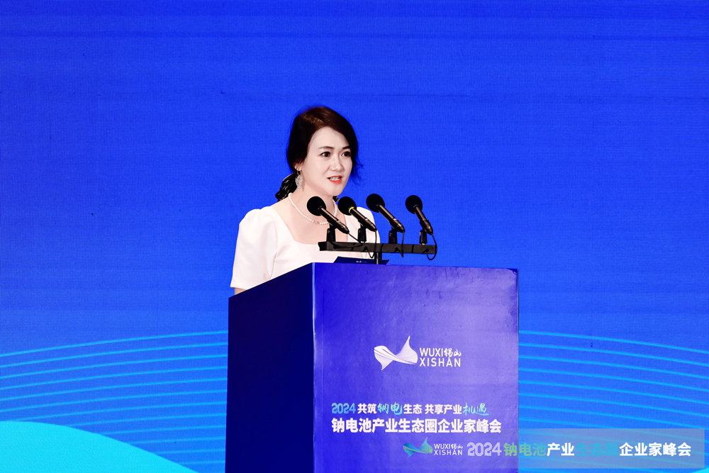 中國電池網副總裁耿茜茜