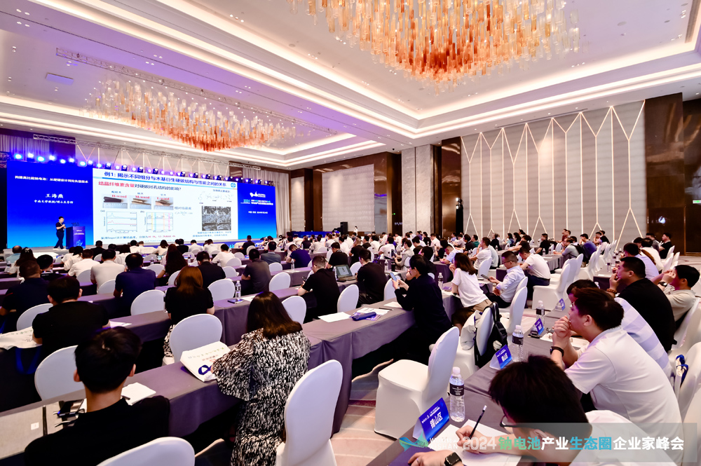 2024中國（無錫）鈉電池產業生態圈企業家峰會現場