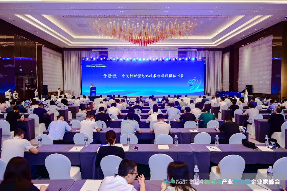 2024中國（無錫）鈉電池產業生態圈企業家峰會