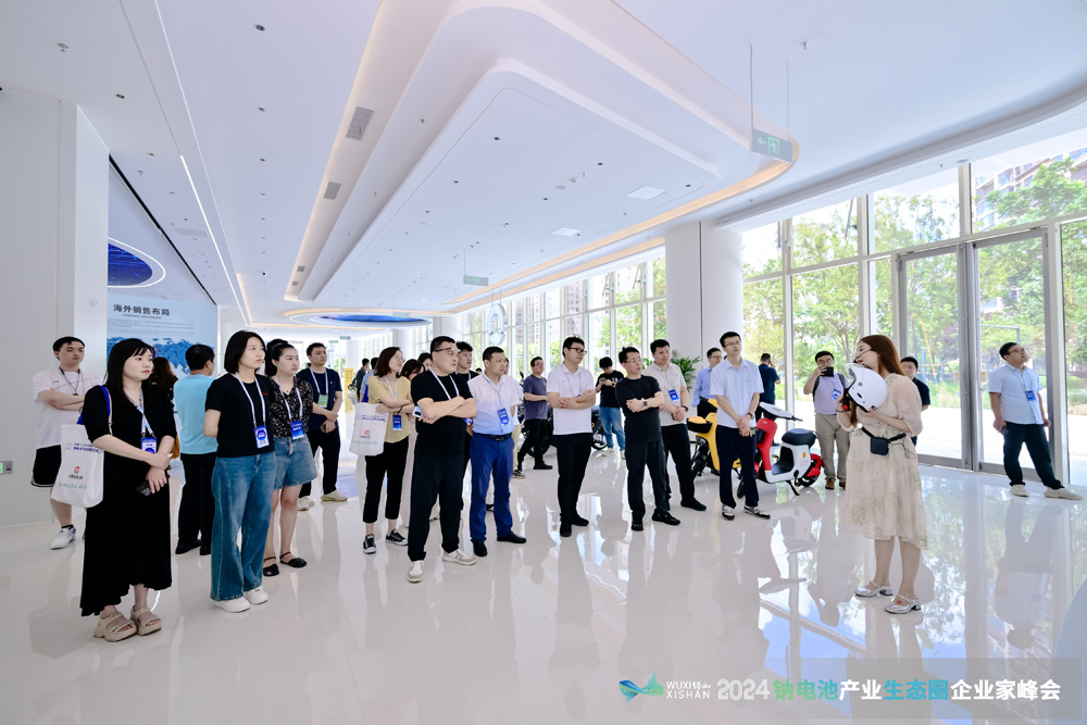 江蘇新日電動車股份有限公司