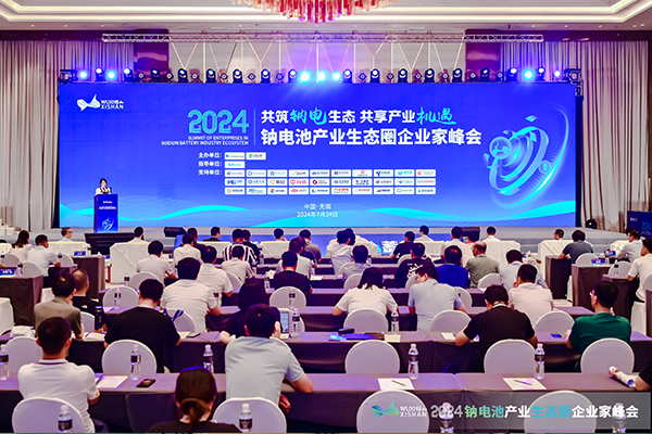 2024中國（無錫）鈉電池產業生態圈企業家峰會現場