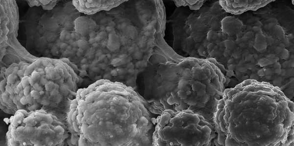 為滿足訂單交付需求，OCSiAl中國合作伙伴將進一步提升TUBALL BATT 單壁碳納米管分散液產能