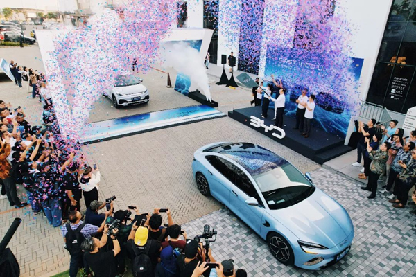 4628.6億元！同比增長20.7%！海關總署發布！