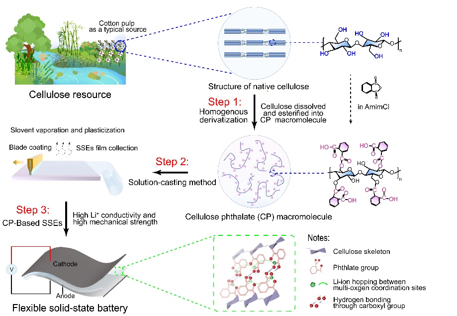 纖維素衍生物基固態電解質制備過程 圖片來源：中科院化學研究所