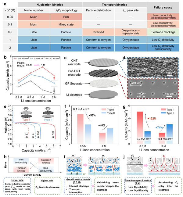 圖2 結論驗證與對電極設計啟發 圖2 結論驗證與對電極設計啟發