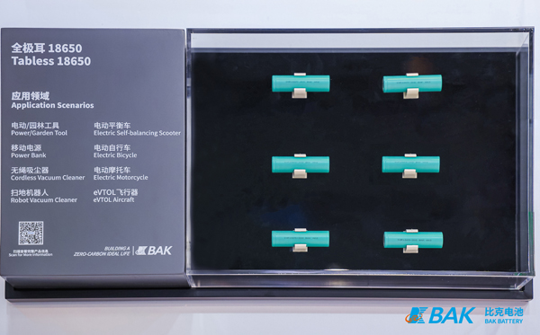 比克電池 比克電池