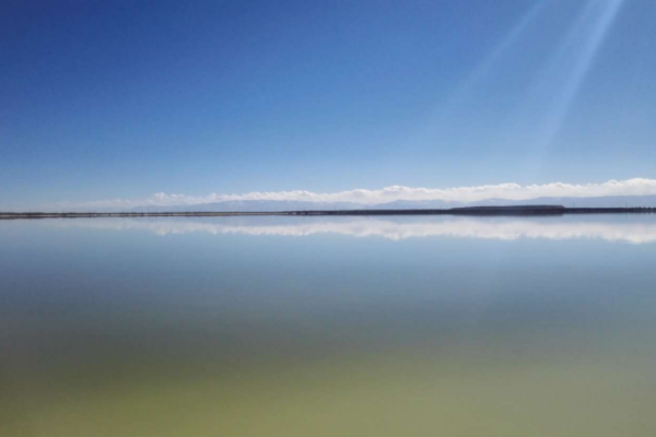 紫金礦業(yè)正式控股藏格礦業(yè) 銅鋰資源版圖大擴張